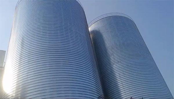 红桥2座混凝土高架卷板仓